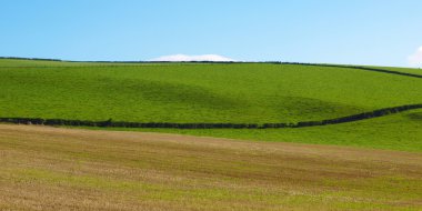 Cardross hill panorama