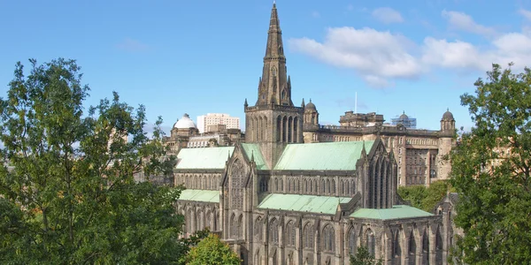 Cathédrale Glasgow — Photo