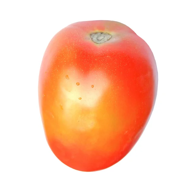 Tomate isolée — Photo