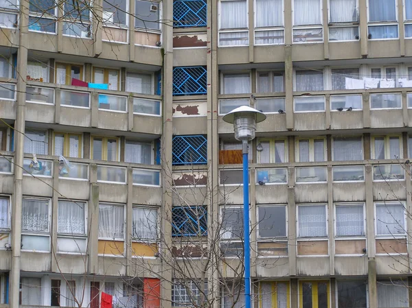 Rotkehlchen Gärten London — Stockfoto