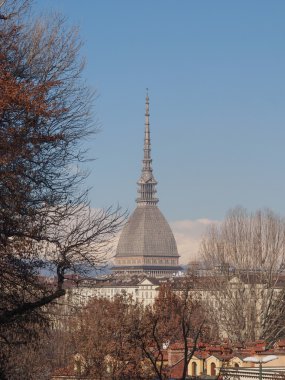 köstebek antonelliana turin