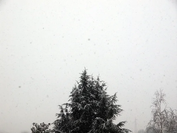 Снежная погода — стоковое фото