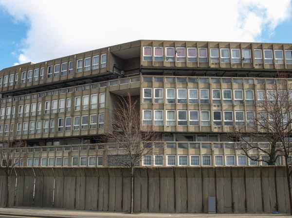 Rotkehlchen Gärten London — Stockfoto