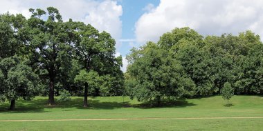 Kensington gardens Londra