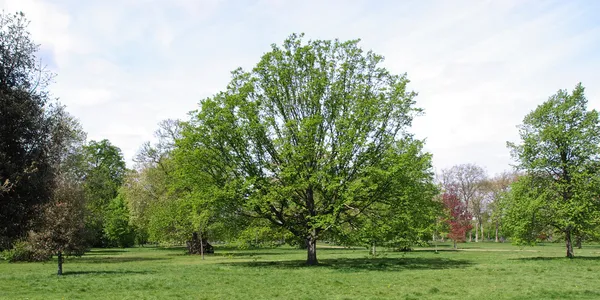 Hyde park, Londen — Stockfoto