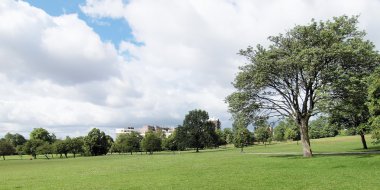 Primrose hill, Londra
