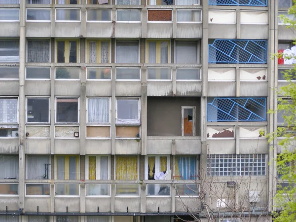 Rotkehlchen Gärten London — Stockfoto