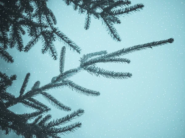 Árbol de Navidad con nieve —  Fotos de Stock