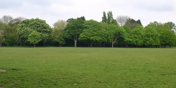 Stadtpark — Stockfoto