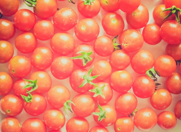 Retro-look tomat — Stockfoto