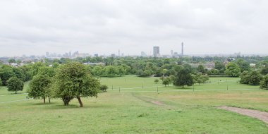 Primrose hill Londra