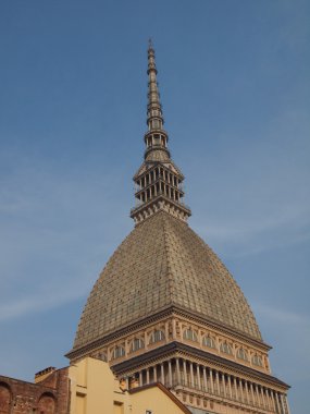 köstebek antonelliana turin