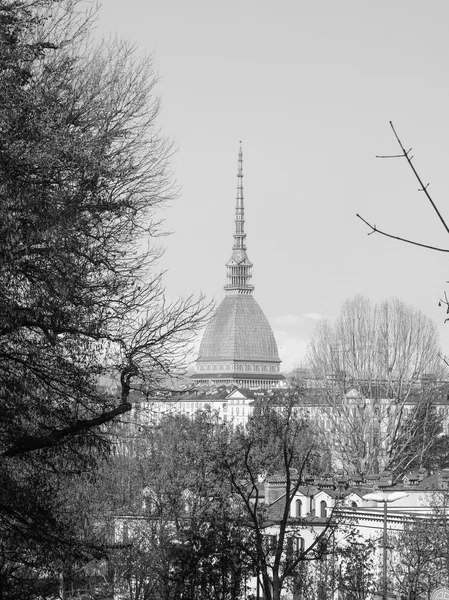 Svart och vitt mole antonelliana turin — Stockfoto