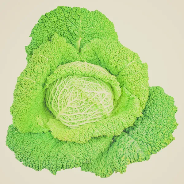 孤立的复古外观绿色卷心菜 — 图库照片