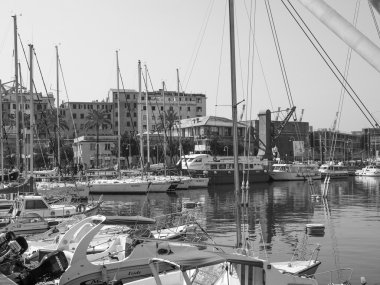 siyah-beyaz porto vecchio Cenova İtalya