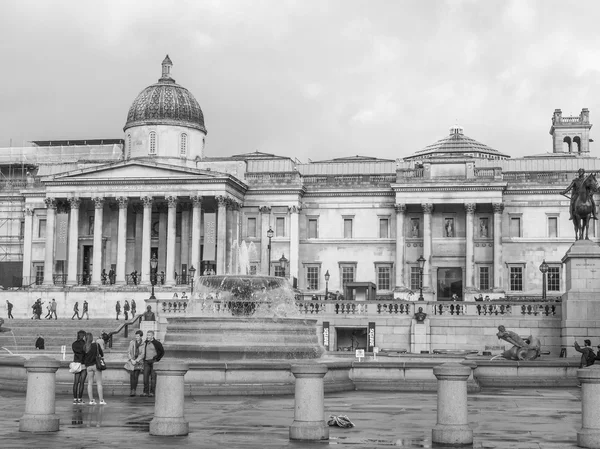 Black and white Trafalgar Square London — Stock Photo, Image