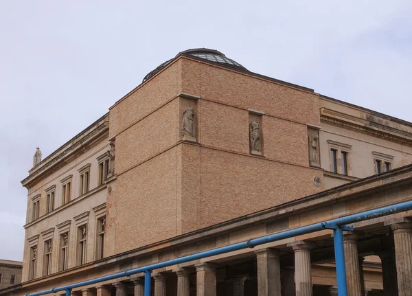 Neues Museum — Stockfoto