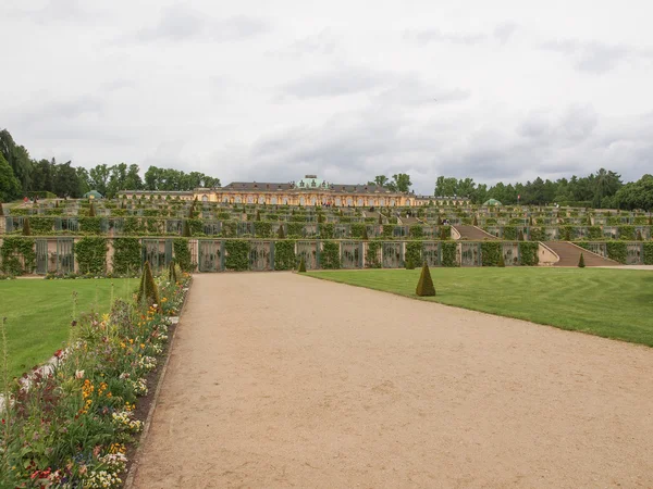 Zámku sanssouci potsdam — Stock fotografie