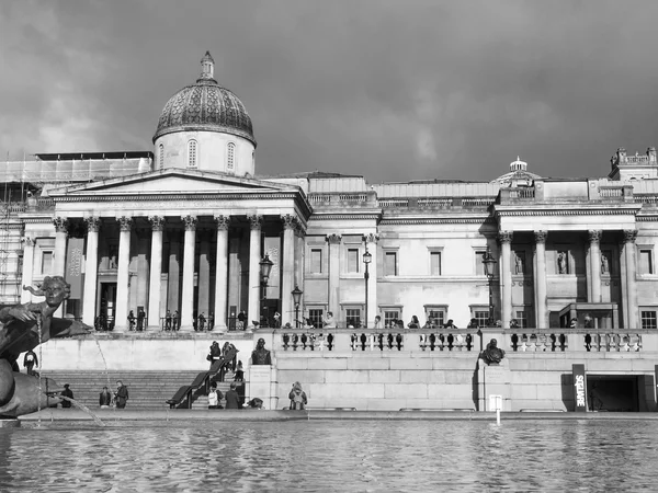 Schwarz und weiß trafalgar square london — Stockfoto