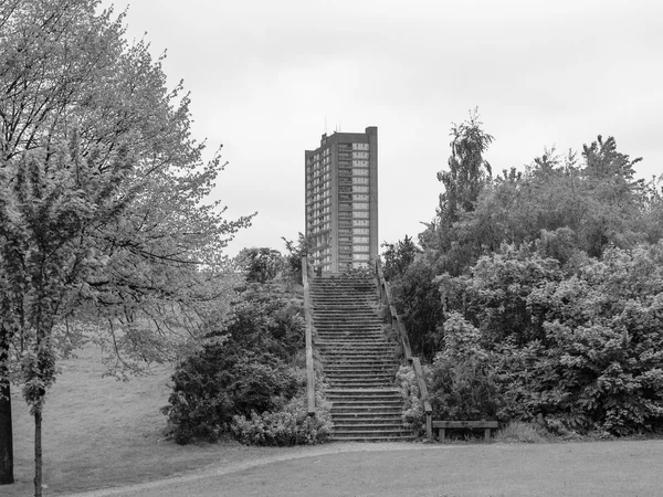 Londra Kulesi'nde siyah-beyaz balfron — Stok fotoğraf