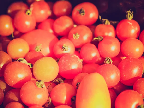 Imagen retro look Tomates —  Fotos de Stock