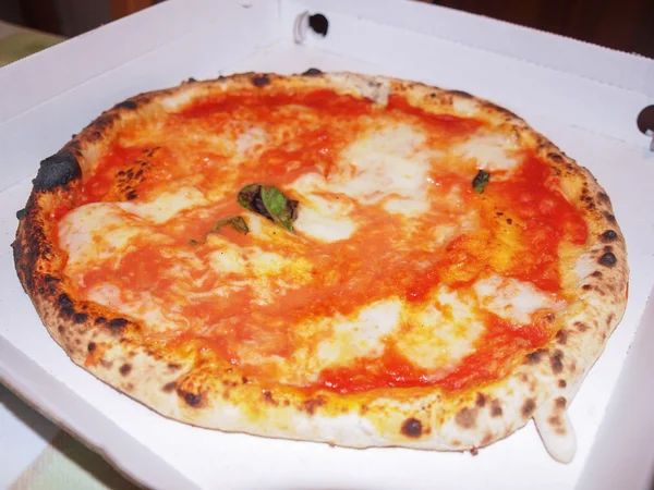 피자 마르게리타 — 스톡 사진