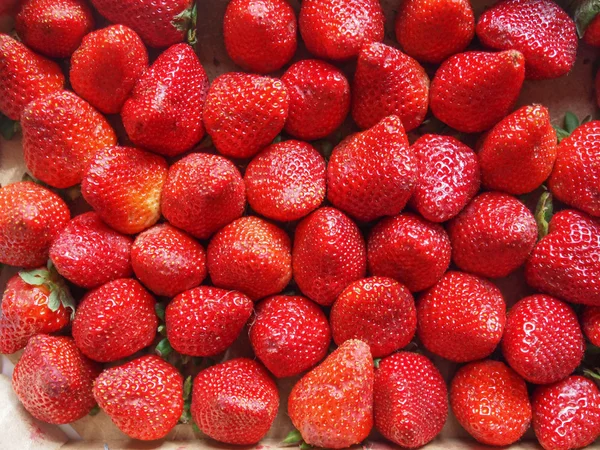 Erdbeeren Früchte — Stockfoto