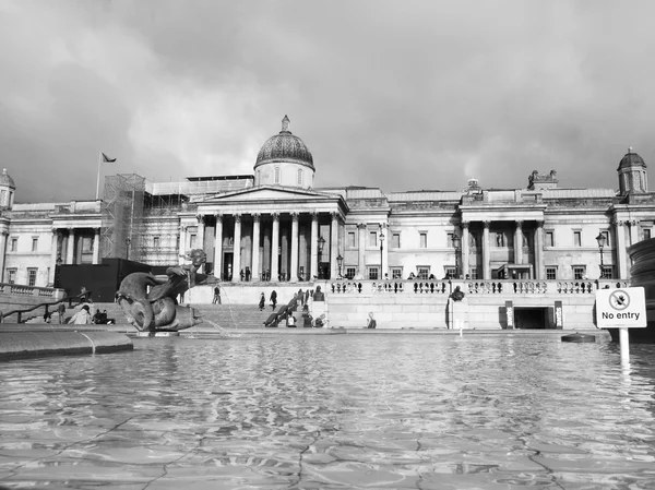 Schwarz und weiß trafalgar square london — Stockfoto