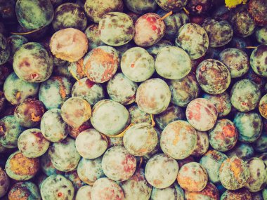 Retro görünüm kuru erik