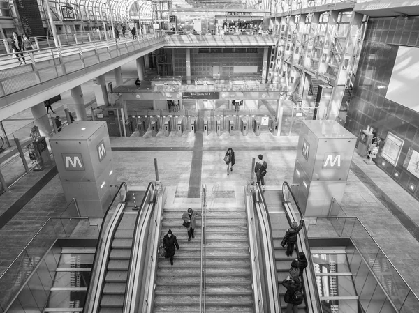 黑色和白色都灵火车站 — 图库照片