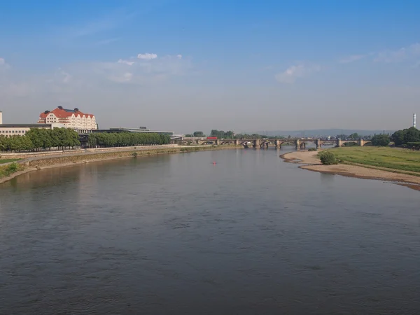 Rivière Elbe à Dresde — Photo