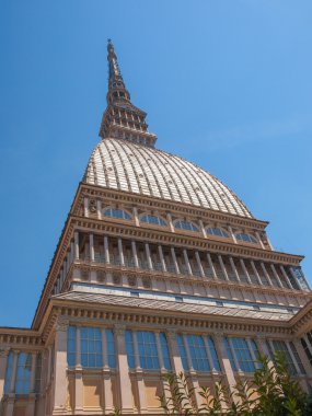 köstebek antonelliana turin