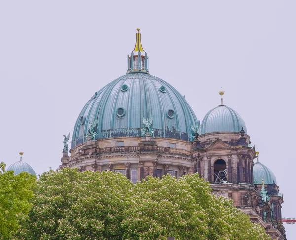 Berliner dom — Stock fotografie