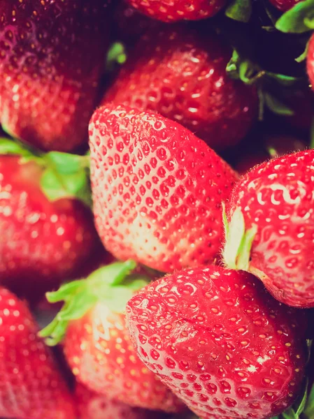 Retro look Strawberry — Stock Photo, Image