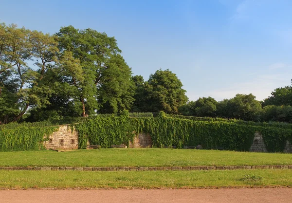 Palaisgarten — Zdjęcie stockowe