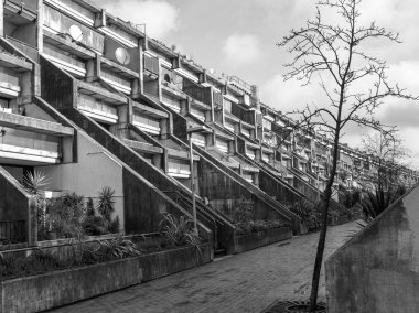 siyah-beyaz alexandra road Londra