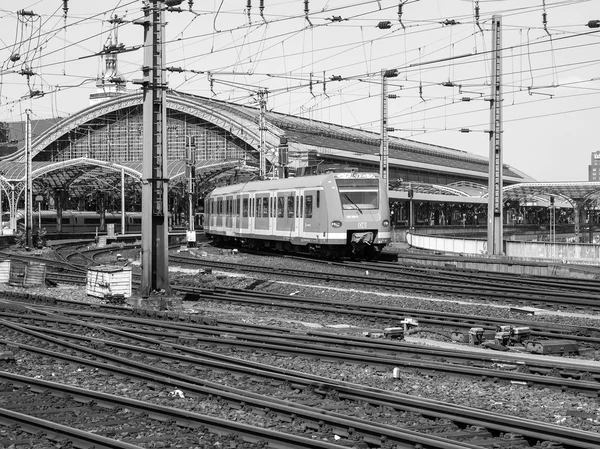 Koeln preto e branco Alemanha — Fotografia de Stock