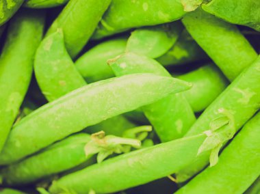 Retro görünüm Pees resim