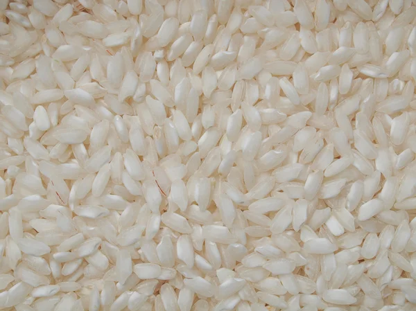 Alimentos à base de arroz — Fotografia de Stock