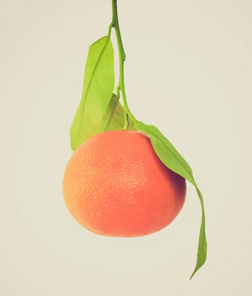 Retro vzhled mandarinka — Stock fotografie