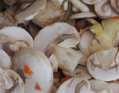 Dilimlenmiş agaricus bisporus nam-ı diğer sebzeli mantar.