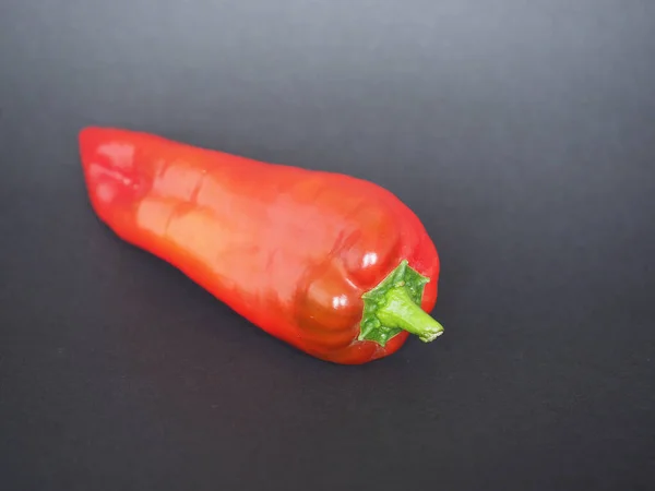 Papryka Czerwona Nazwa Naukowa Capsicum Aka Papryka Warzywa Wegetariańskie Żywności — Zdjęcie stockowe