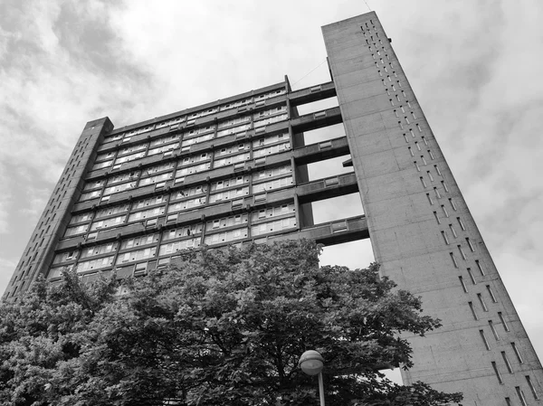 Svarta och vita balfron tower i london — Stockfoto