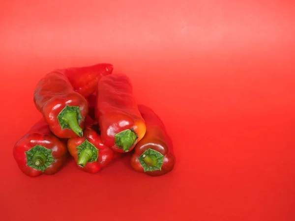 红辣椒 学名Capsicum Aka Bell Peppers 蔬菜素食 — 图库照片