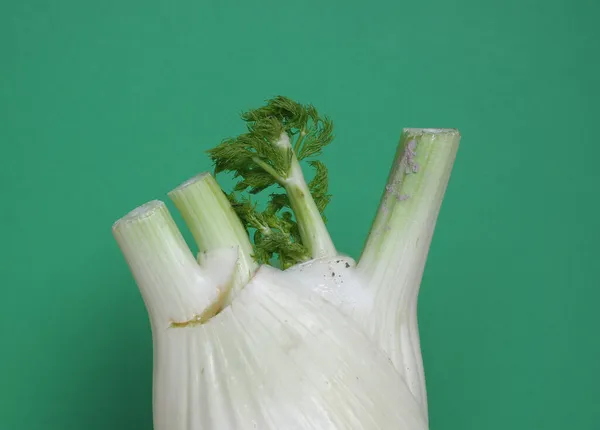 Florence Venkel Wetenschappelijke Naam Foeniculum Vulgare Aka Finocchio Groenten Vegetarisch — Stockfoto