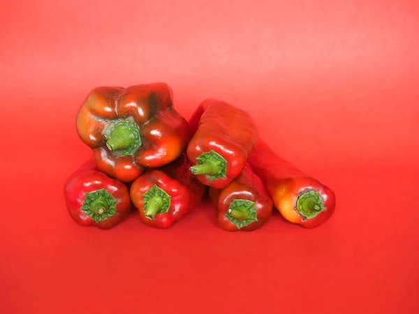 Poivrons Rouges Nom Scientifique Capsicum Aka Poivrons Légumes Nourriture Végétarienne — Photo