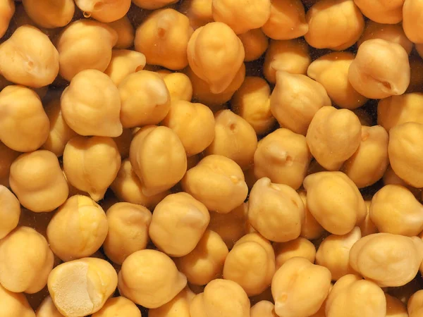 Garbanzos Nombre Científico Cicer Arietinum Legumbres Comida Vegetariana —  Fotos de Stock