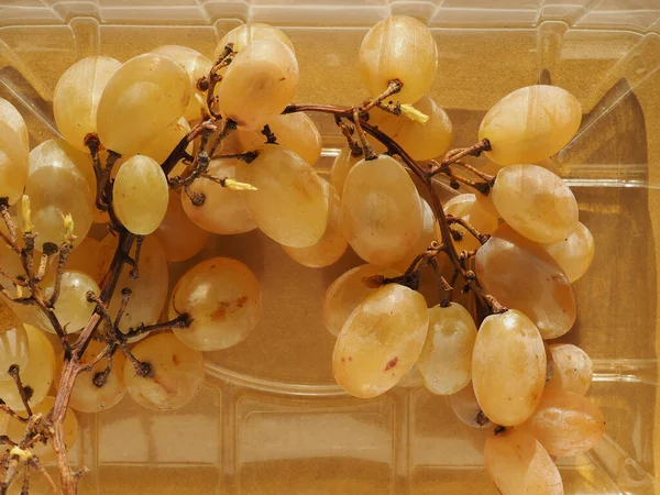 一次性塑料篮中的白葡萄果 — 图库照片