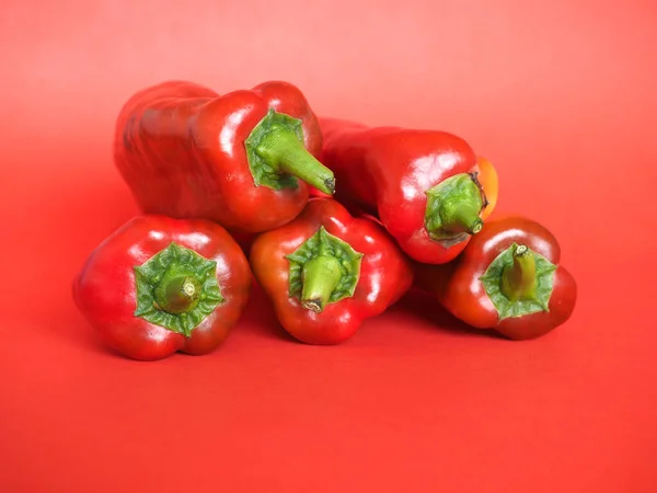 Червоний Перець Наукова Назва Capsicum Bell Peppers Овочі Вегетаріанська Їжа — стокове фото