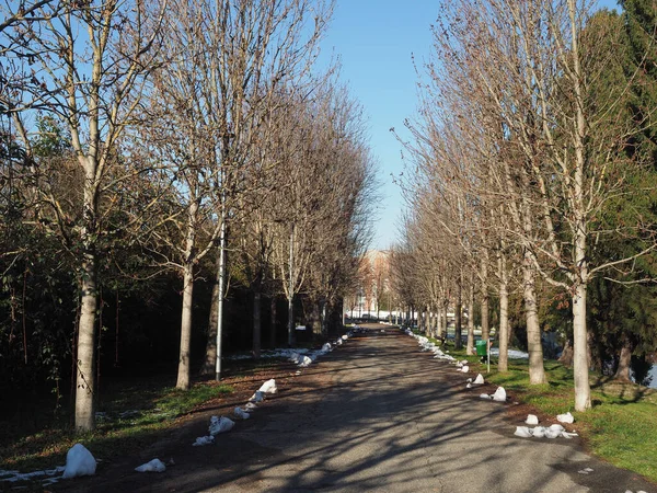 Bulwar Canale Cavour Avenue Chivasso Włochy — Zdjęcie stockowe